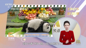 女生扒开裤子让男生捅